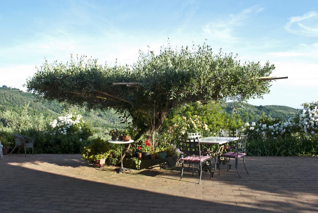 Azienda Agricola Della Mezzaluna Stiava エクステリア 写真