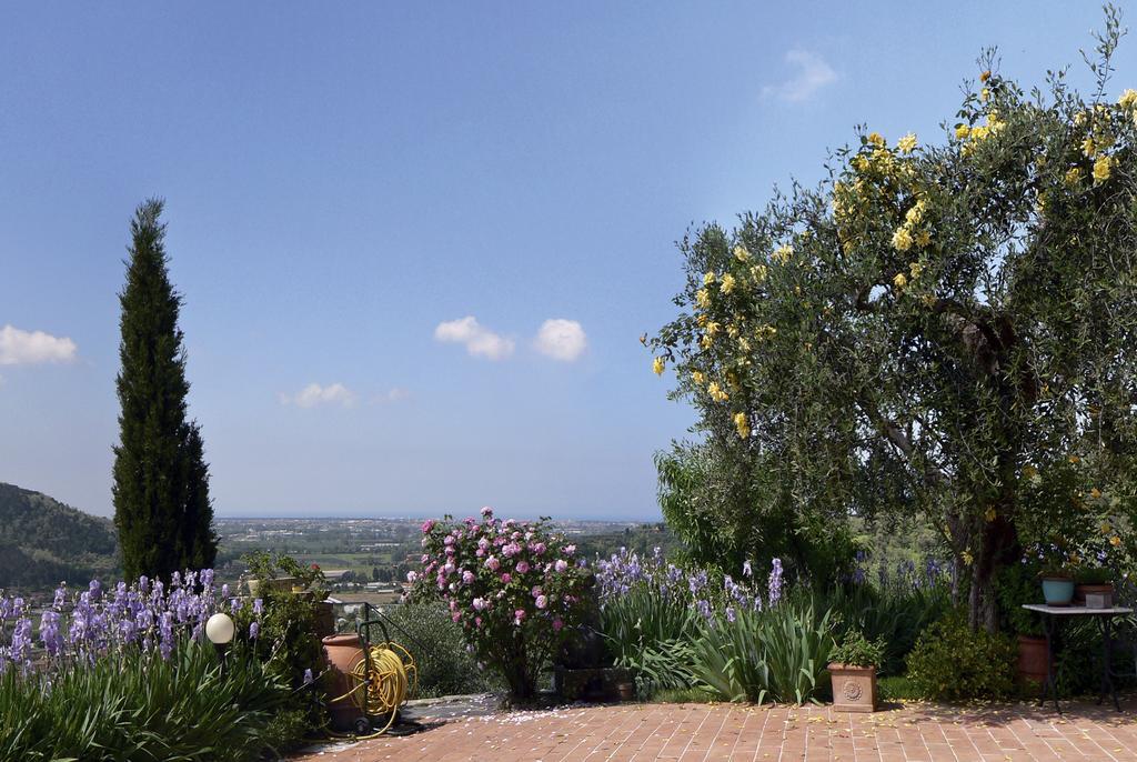 Azienda Agricola Della Mezzaluna Stiava エクステリア 写真
