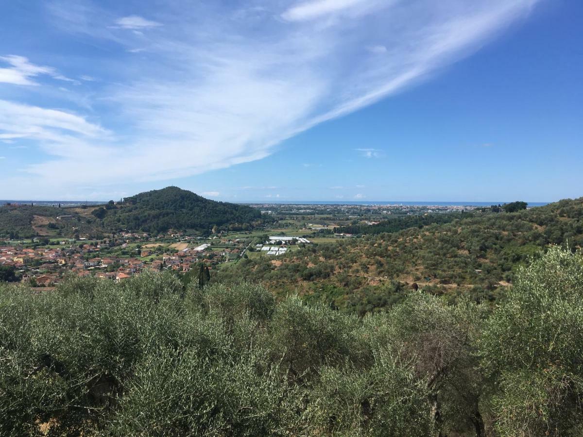 Azienda Agricola Della Mezzaluna Stiava エクステリア 写真